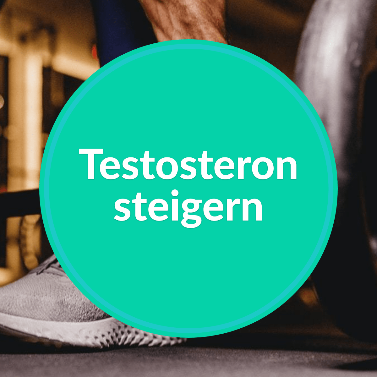 testo steigern erhoehen