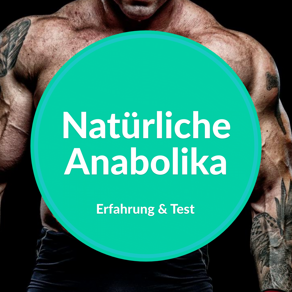 Die 6 besten natürlichen Anabolika 2025 Pflanzliche Steroide für Muskelaufbau online kaufen